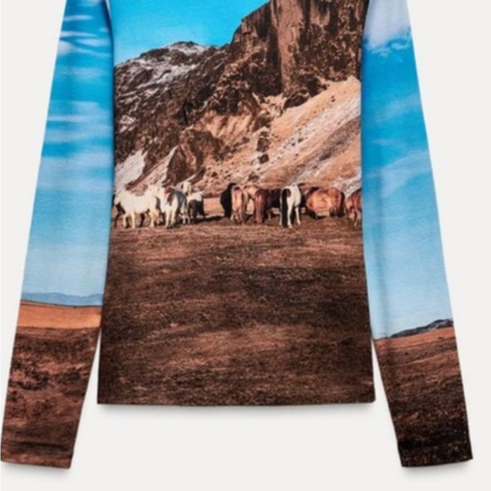 Zara Scenic Long Sleeve Shirt